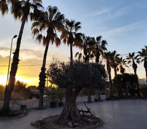 Zonas de jardinería