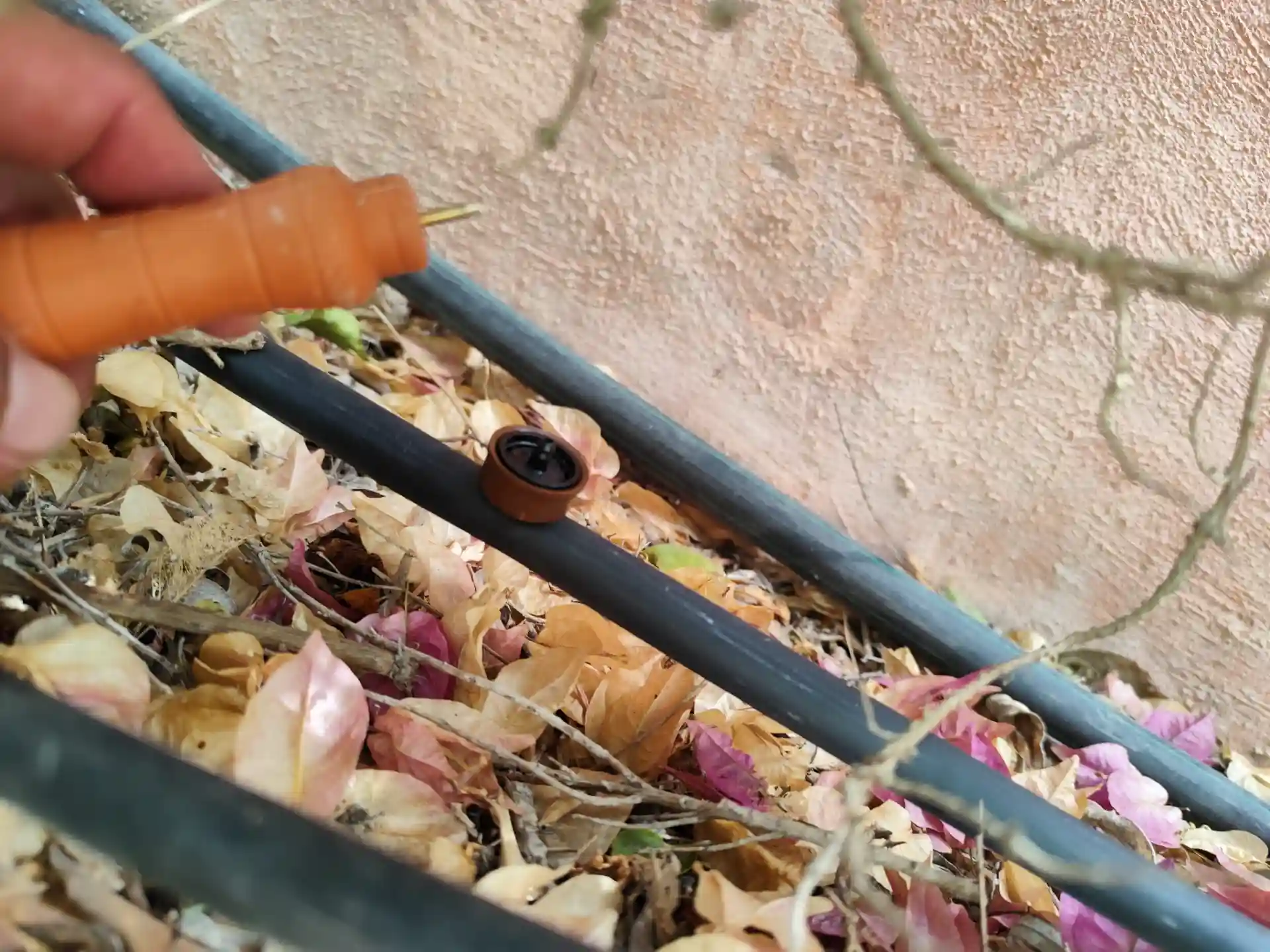 Jardinería torrevieja